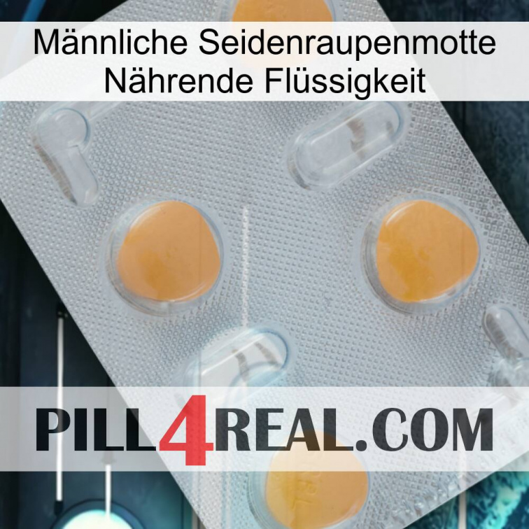 Männliche Seidenraupenmotte Nährende Flüssigkeit 24